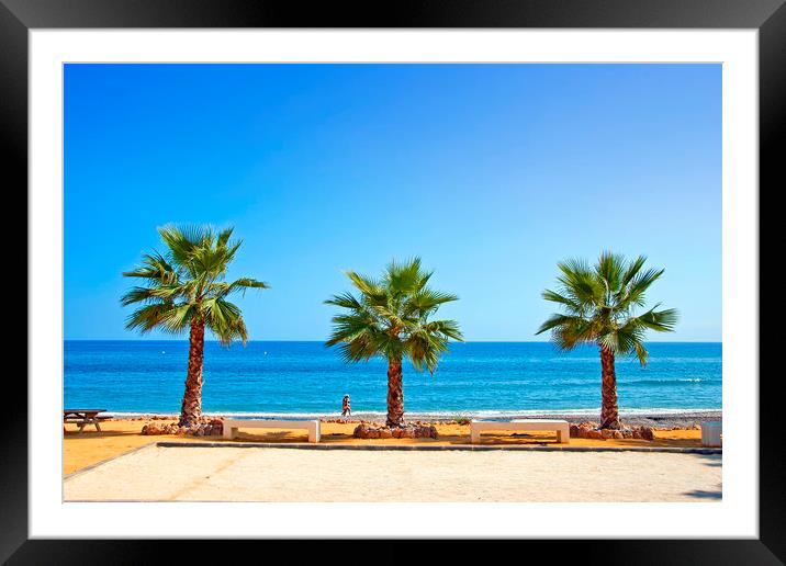 Palm trees Torrox Costa Del Sol Spain Framed Mounted Print by Andy Evans Photos