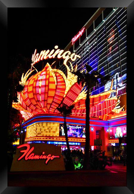Flamingo Las Vegas Hotel Neon Signs America Framed Print by Andy Evans Photos