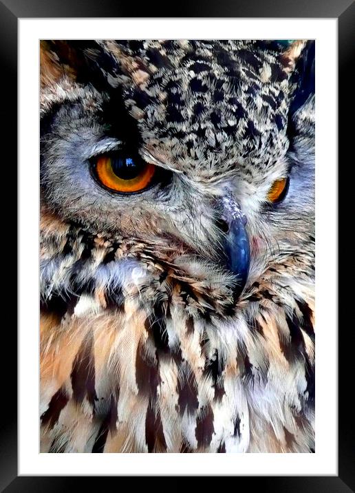 European Eagle Owl Bird of Prey Framed Mounted Print by Andy Evans Photos
