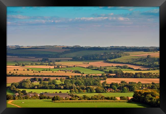 South Downs Beacon Hill Hampshire England Framed Print by Andy Evans Photos