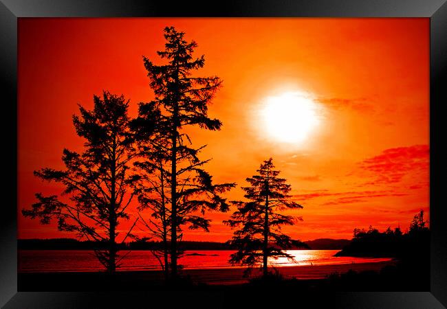 Sunset Long Beach Tofino Vancouver Island Canada Framed Print by Andy Evans Photos