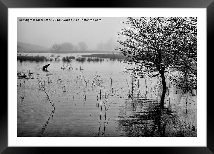 Misty lake & trees with a silhouetted dog Framed Mounted Print by Mark Stone