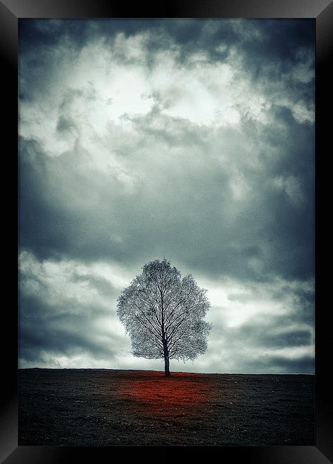 The loneliness  of hopelessness..... Framed Print by martin kimberley