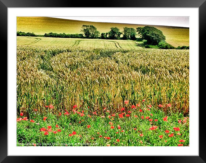 Before the Harvest Framed Mounted Print by Lucy Steele