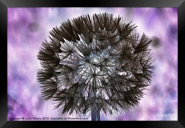 Inverted Dandelion Framed Print by Lucy Steele