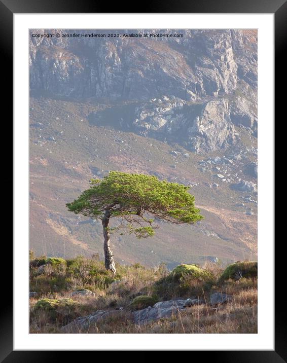 Lone Pine Tree #2 Framed Mounted Print by Jennifer Henderson