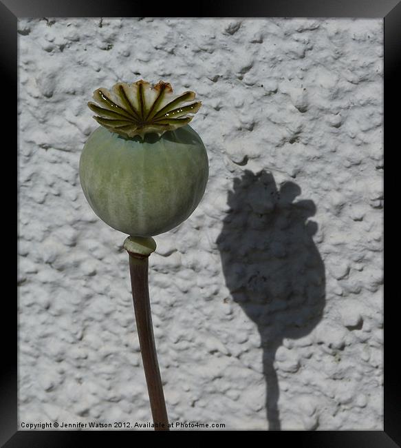 Me and My Shadow Framed Print by Jennifer Henderson