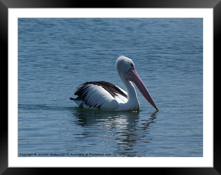 Pelican Framed Mounted Print by Jennifer Henderson