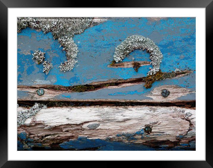 Blue Lichen Framed Mounted Print by Jennifer Henderson