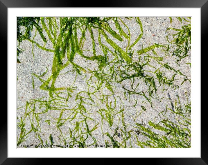 Seaweed Green Framed Mounted Print by Jennifer Henderson
