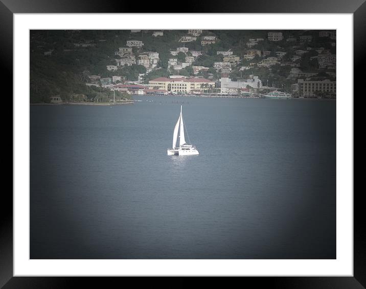 Sailing in the Caribbean Framed Mounted Print by Annabelle Cottle
