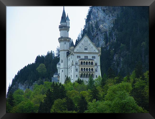 Schloss Neuschwanstein Framed Print by Ian McNicholls