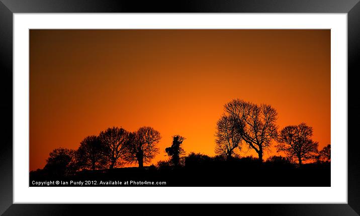 Tree line sunset Framed Mounted Print by Ian Purdy