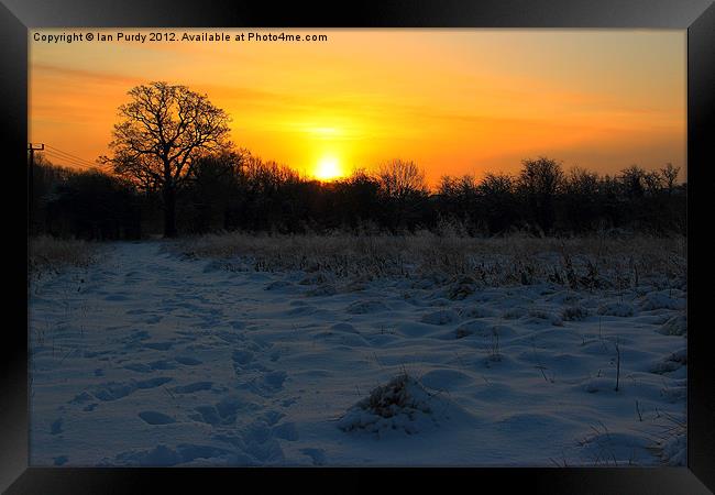 Winter sunrise Framed Print by Ian Purdy