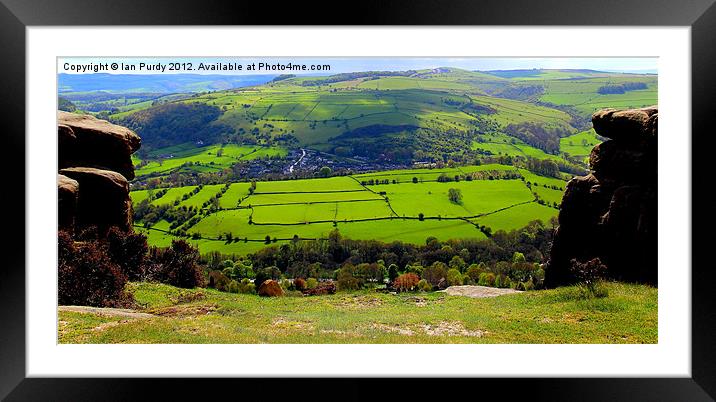 Green fields Framed Mounted Print by Ian Purdy