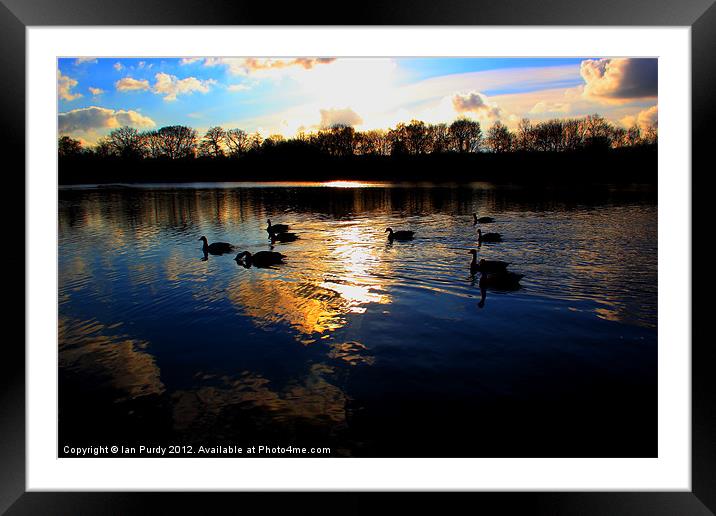 Time to go home Framed Mounted Print by Ian Purdy