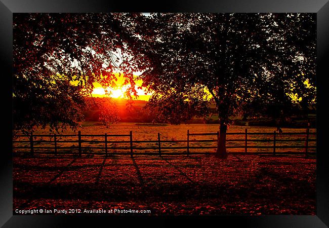 Long shadows Framed Print by Ian Purdy