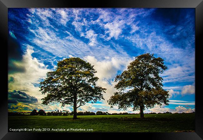 Last trees standing Framed Print by Ian Purdy