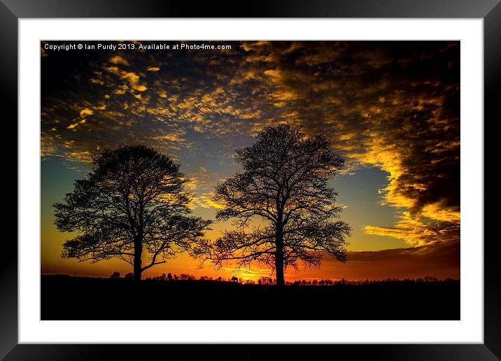 Two Trees at sunset Framed Mounted Print by Ian Purdy