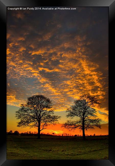 Winter sunset Framed Print by Ian Purdy