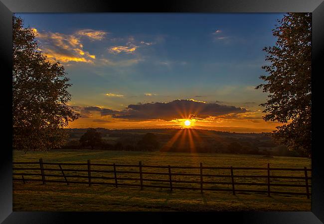 Sunset in the park Framed Print by Ian Purdy