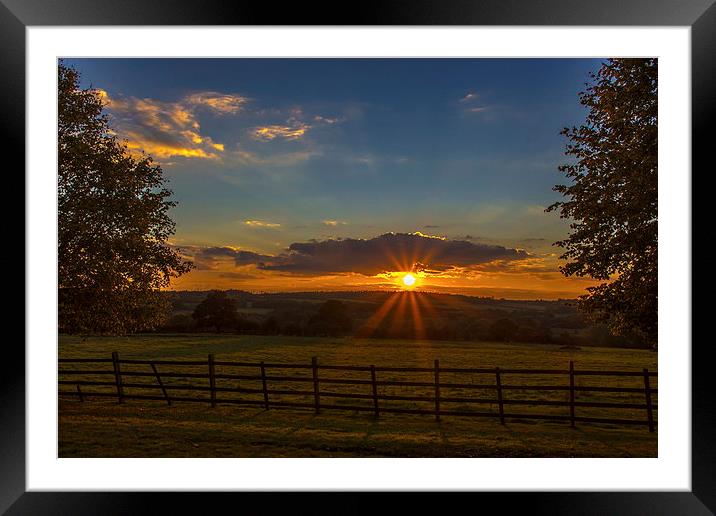 Sunset in the park Framed Mounted Print by Ian Purdy