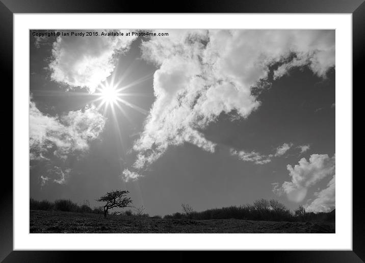 Spring skys Framed Mounted Print by Ian Purdy