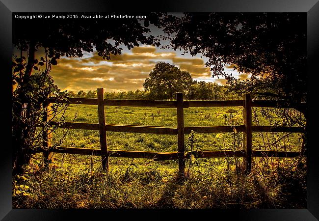  Over the fence Framed Print by Ian Purdy