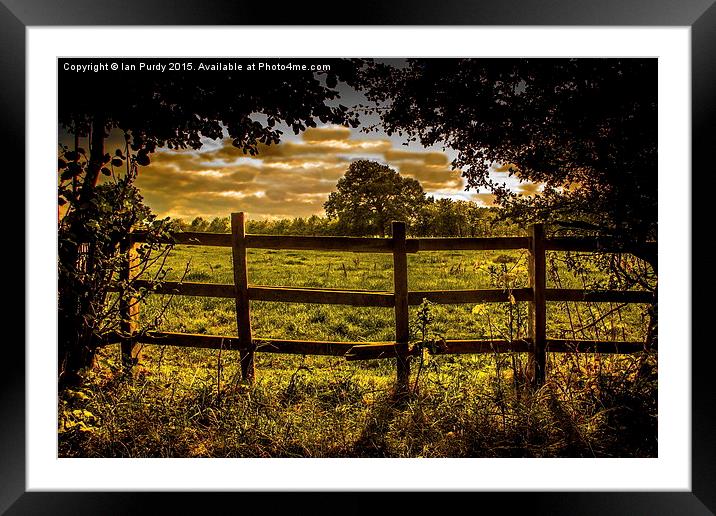  Over the fence Framed Mounted Print by Ian Purdy