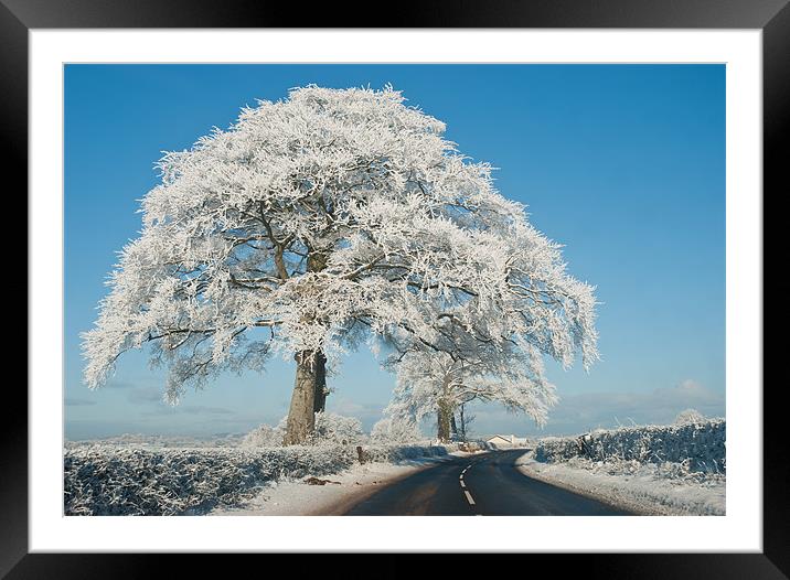 The Ice Tree Framed Mounted Print by Paul Martin