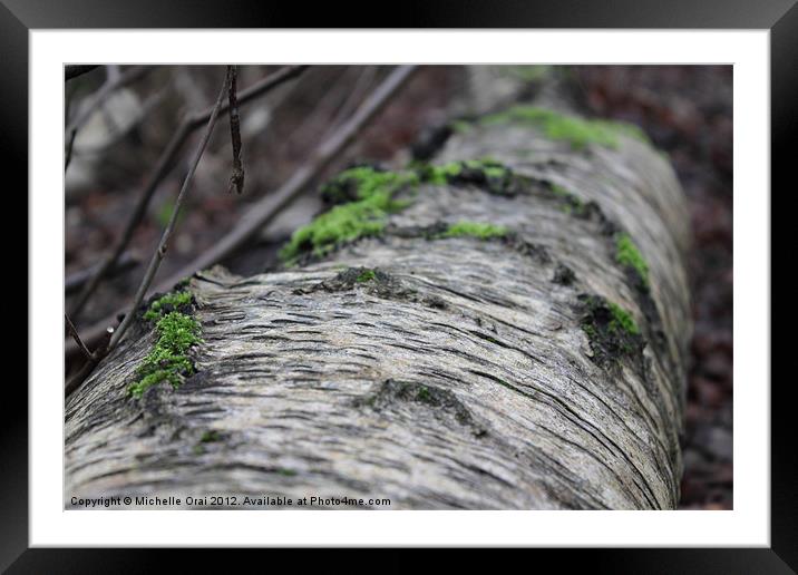 Bark and Moss Framed Mounted Print by Michelle Orai