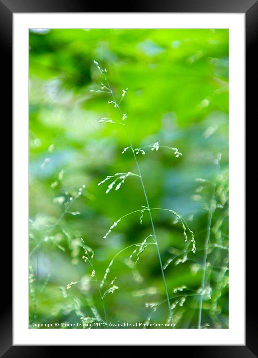 Delicate Grass Framed Mounted Print by Michelle Orai