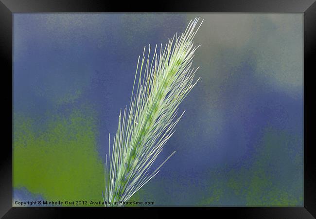 Wheat Grass Framed Print by Michelle Orai