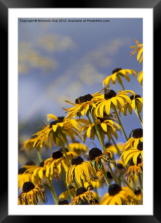 Reaching for the sky Framed Mounted Print by Michelle Orai