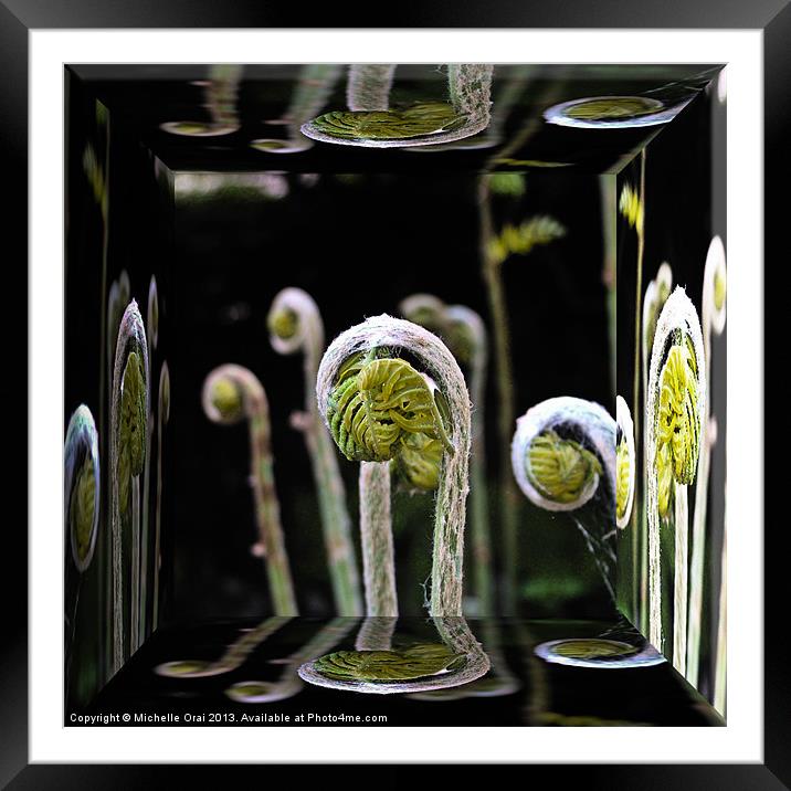 Unfurling Ferns Reflections Framed Mounted Print by Michelle Orai