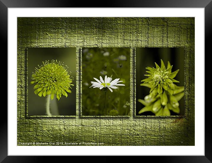 Flowers on Wooden Background Framed Mounted Print by Michelle Orai