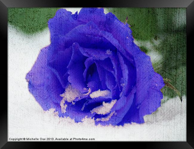 Cold Blue Rose Framed Print by Michelle Orai