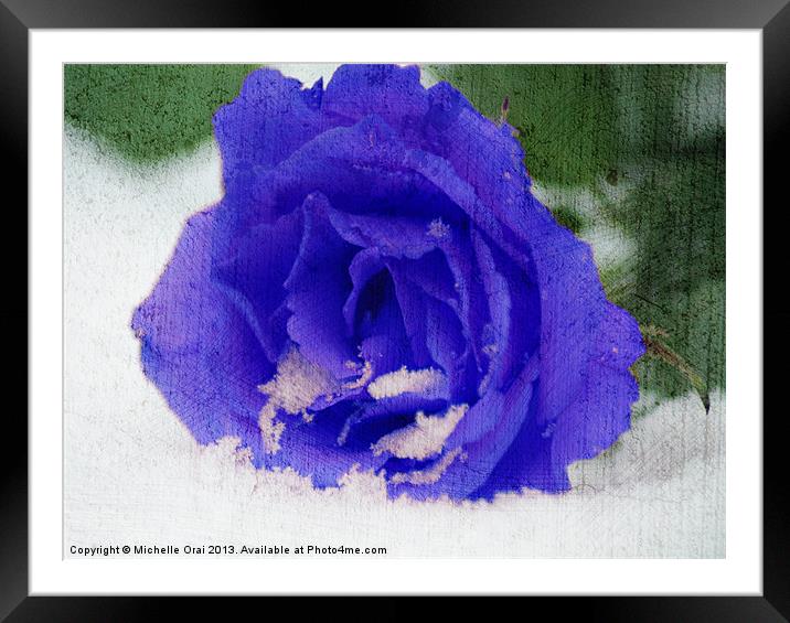 Cold Blue Rose Framed Mounted Print by Michelle Orai