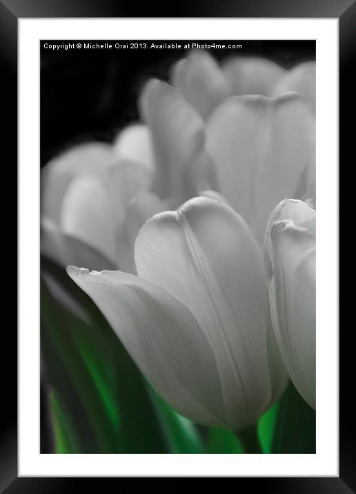 Pure Tulips Framed Mounted Print by Michelle Orai