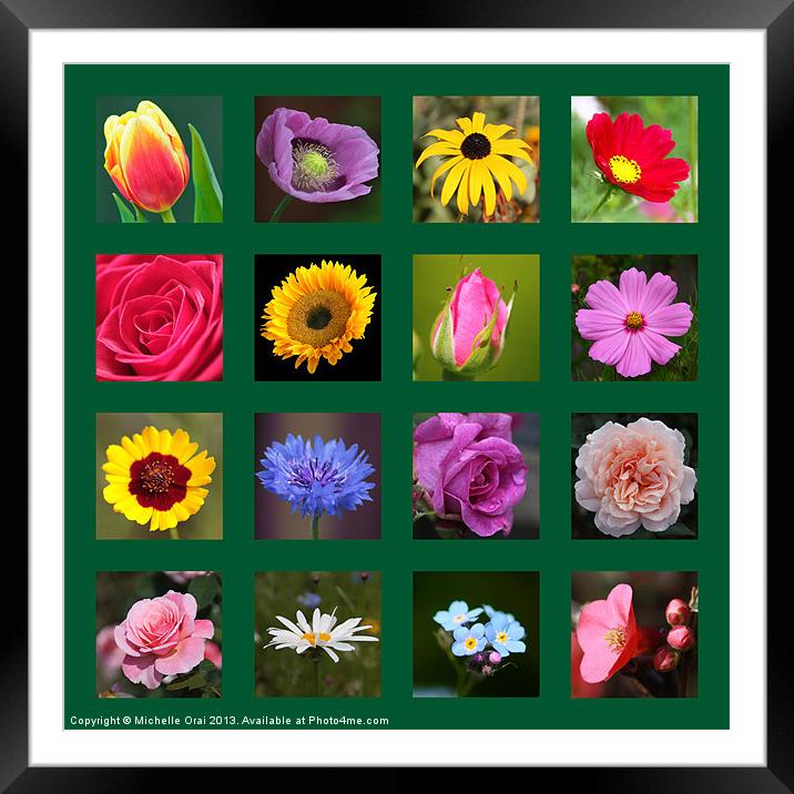 Floral Squares Framed Mounted Print by Michelle Orai