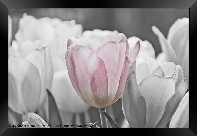 Hint of Pink Framed Print by Michelle Orai
