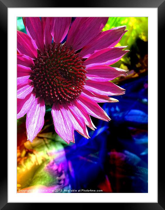 Psychedelic Daisy Framed Mounted Print by Michelle Orai
