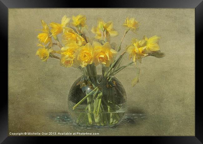 Springtime Daffodils Framed Print by Michelle Orai