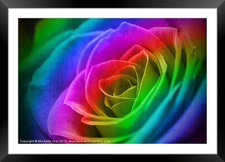 Rainbow Rose Framed Mounted Print by Michelle Orai