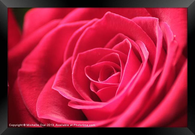 Perfect in Pink Framed Print by Michelle Orai