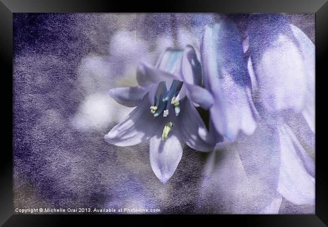 Bluebell with Texture Framed Print by Michelle Orai