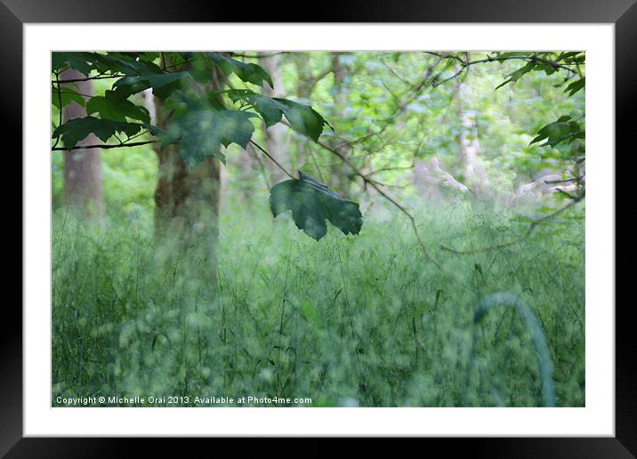 Through the long grass. Framed Mounted Print by Michelle Orai
