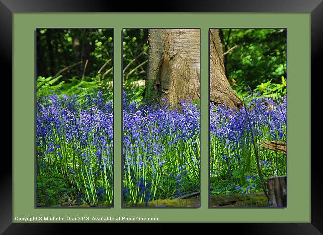 Bluebell Triptych 2 Framed Print by Michelle Orai