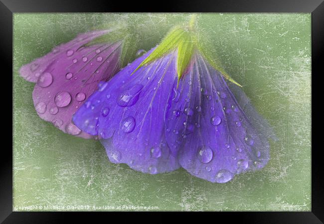 Bowing in the rain 2 Framed Print by Michelle Orai