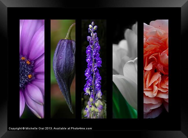 Montage Floral Framed Print by Michelle Orai